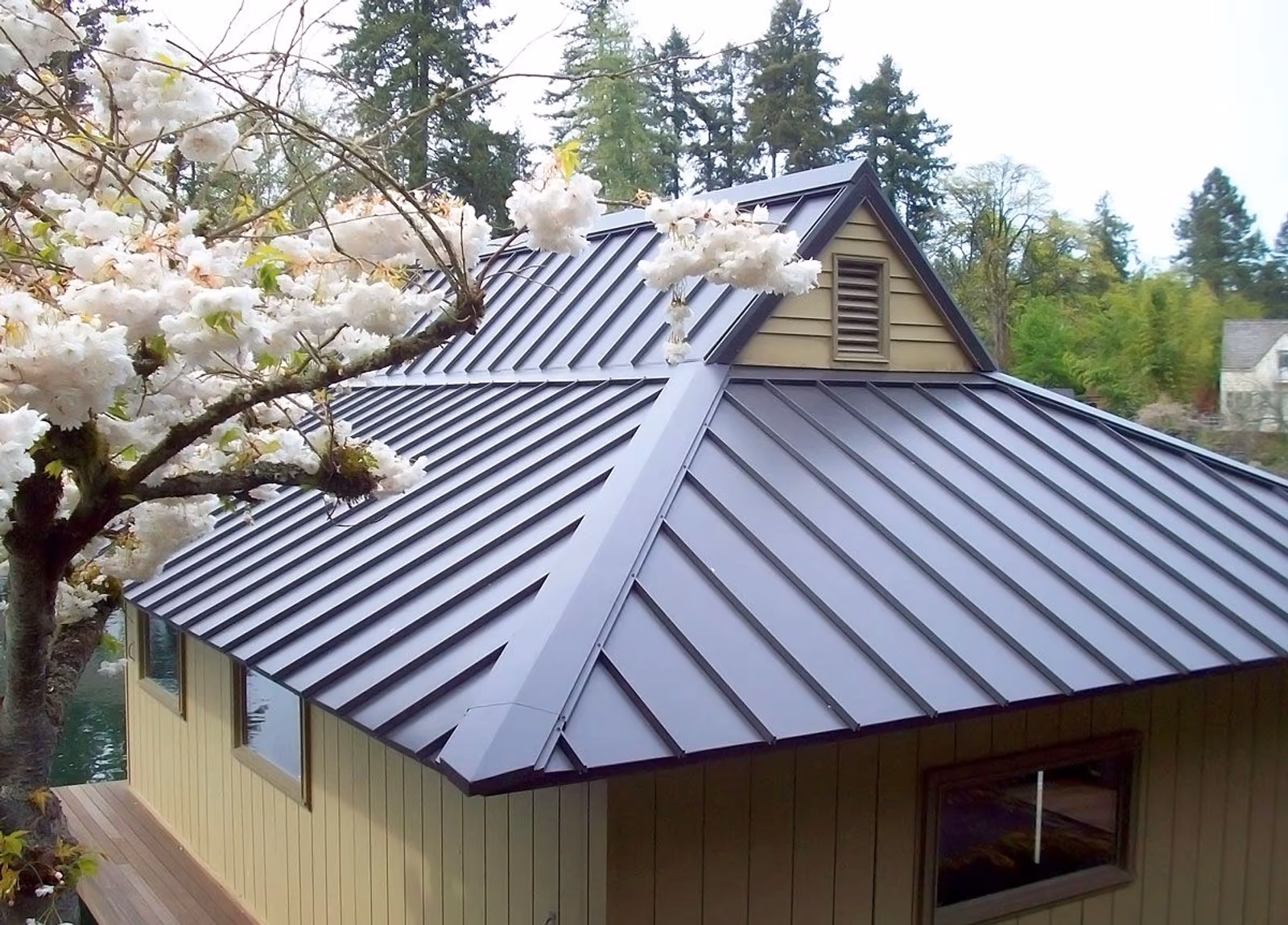 Bronze standing-seam metal roof on a yellow home framed by cherry blossoms