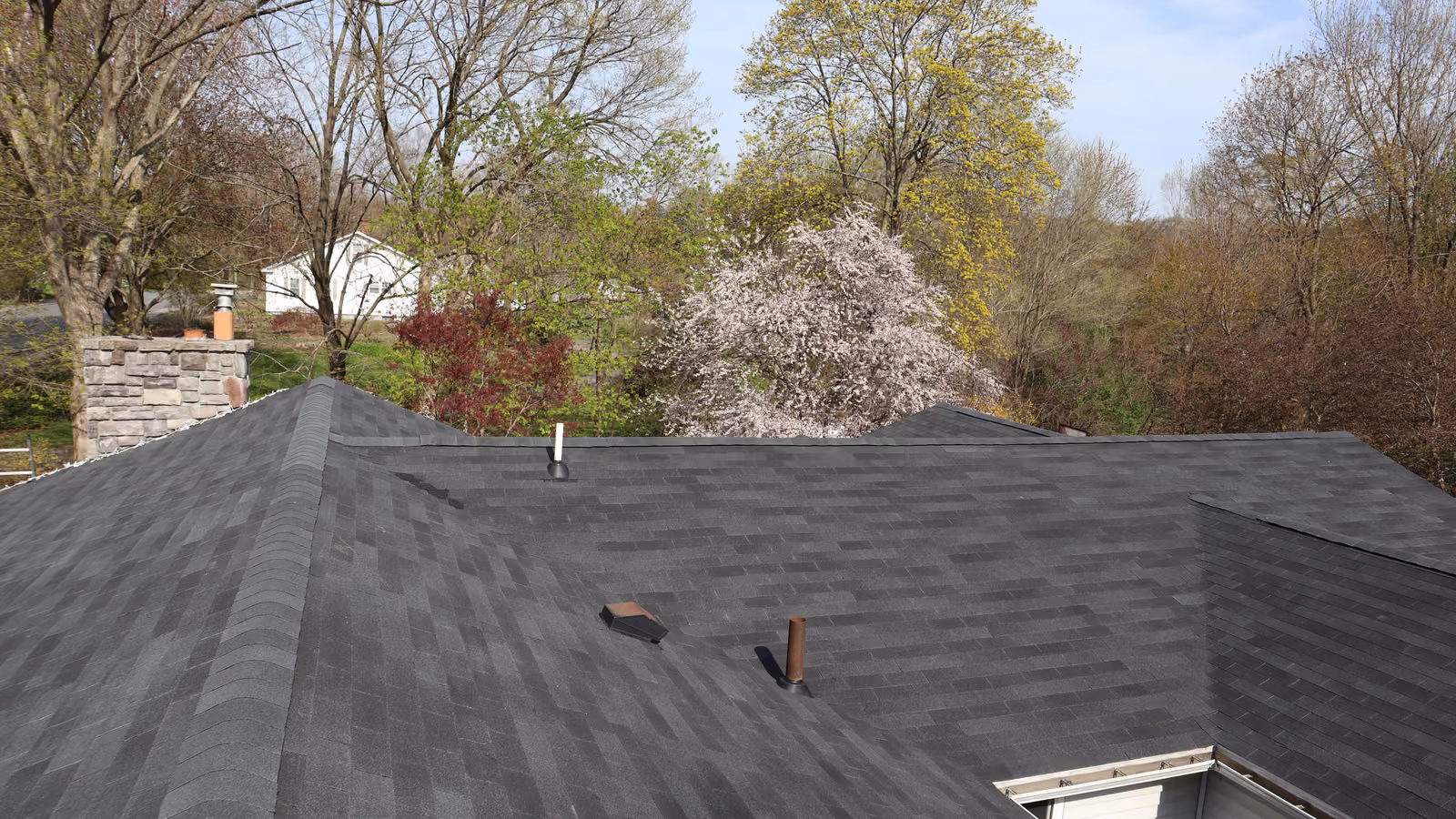On-roof view of dark charcoal architectural shingles with a spring tree backdrop