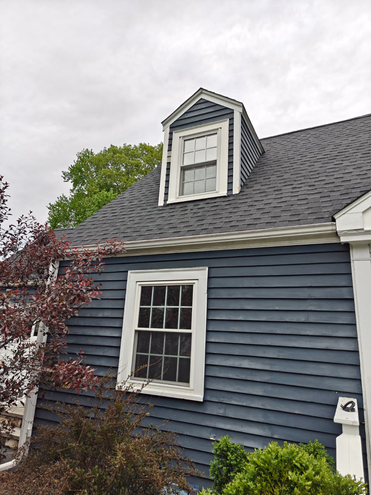 New double-hung window with white trim